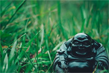吉林省公务员考试成绩（吉林省公务员考试成绩公布：你是否榜上有名？）